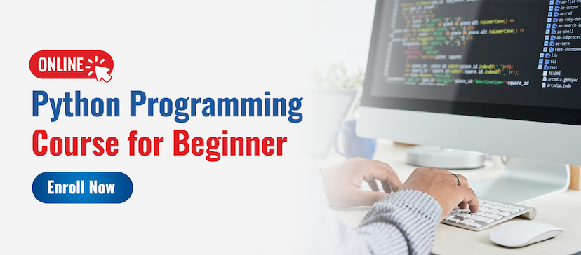Python Programming Course for Beginner - Online